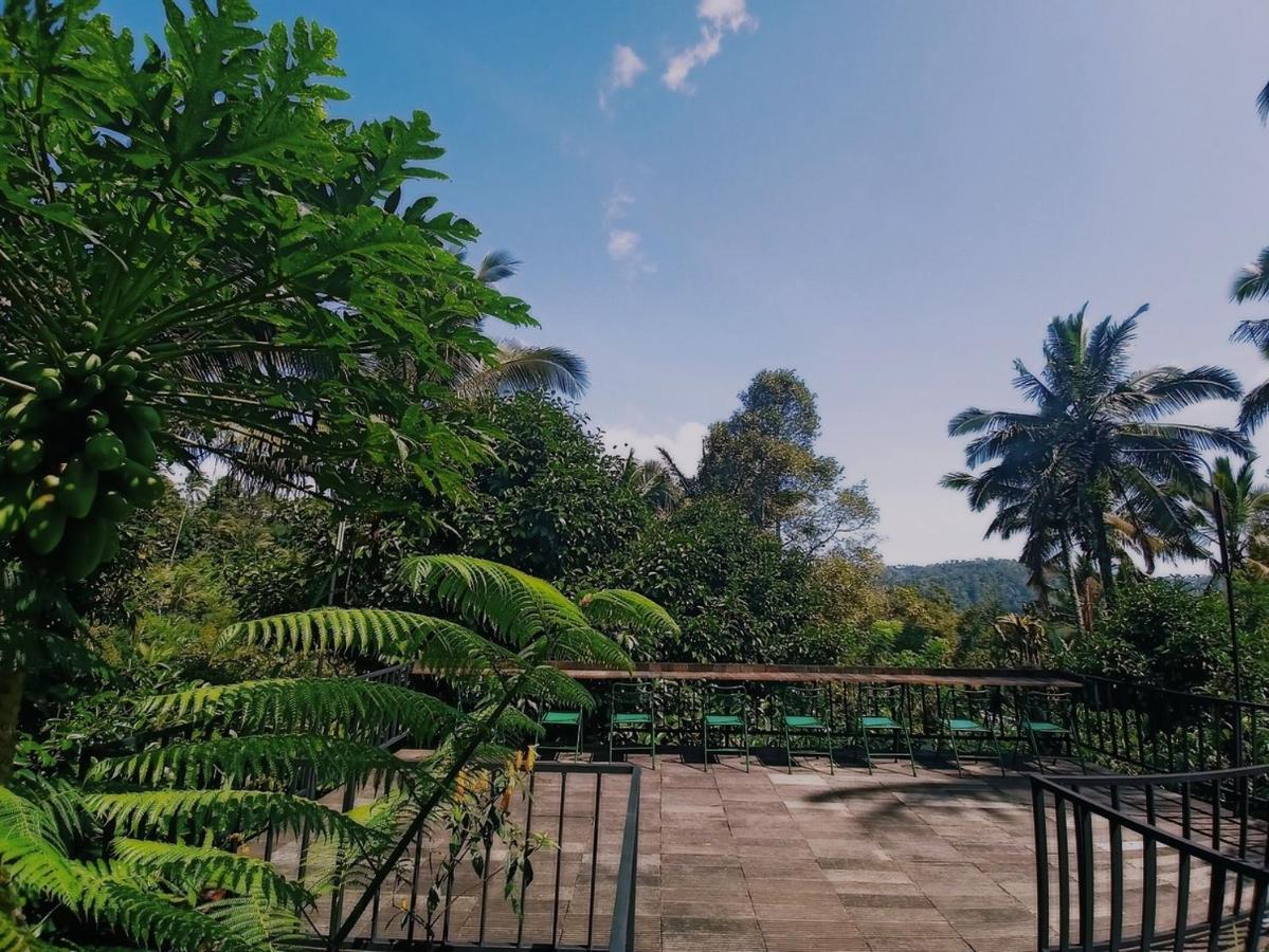 Kebun Kita Eco Lodge Padangan  Dış mekan fotoğraf