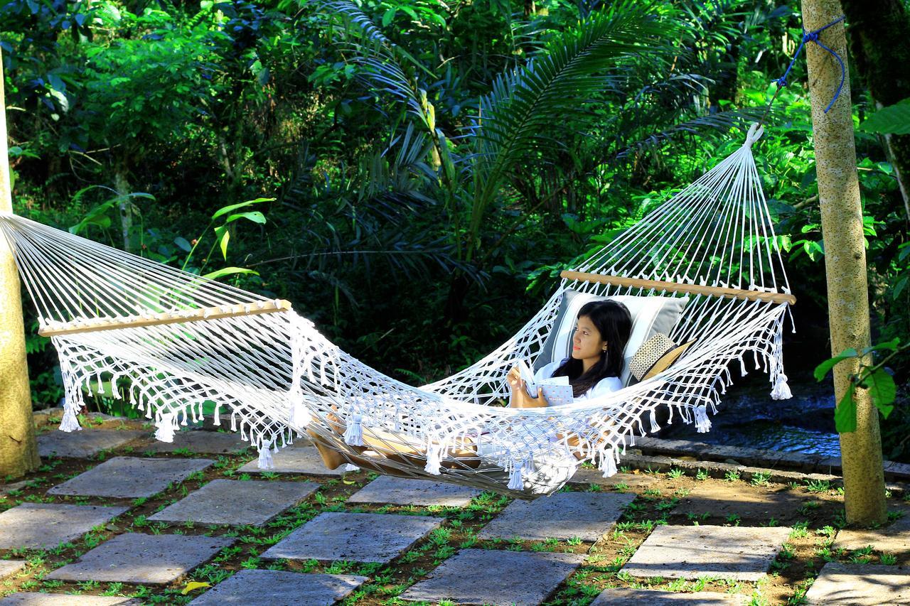 Kebun Kita Eco Lodge Padangan  Dış mekan fotoğraf