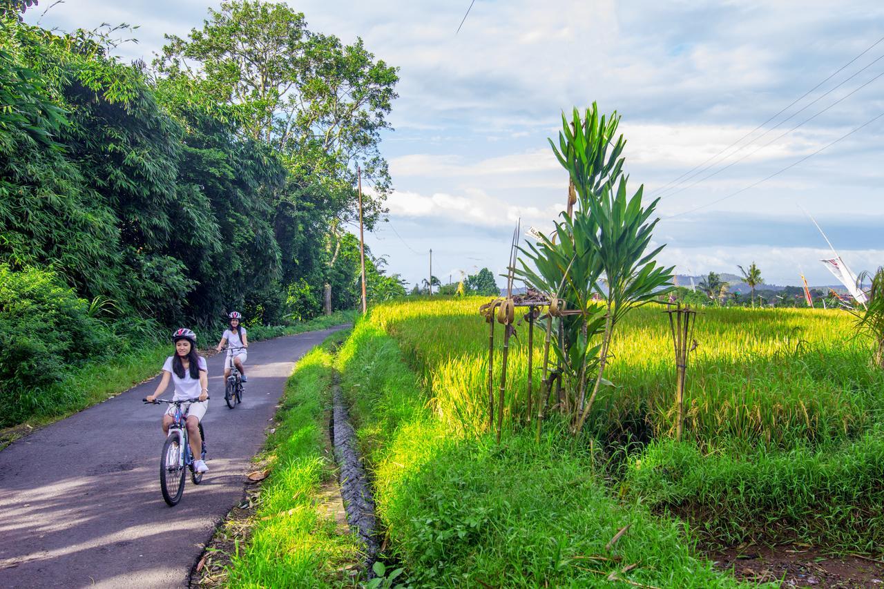 Kebun Kita Eco Lodge Padangan  Dış mekan fotoğraf