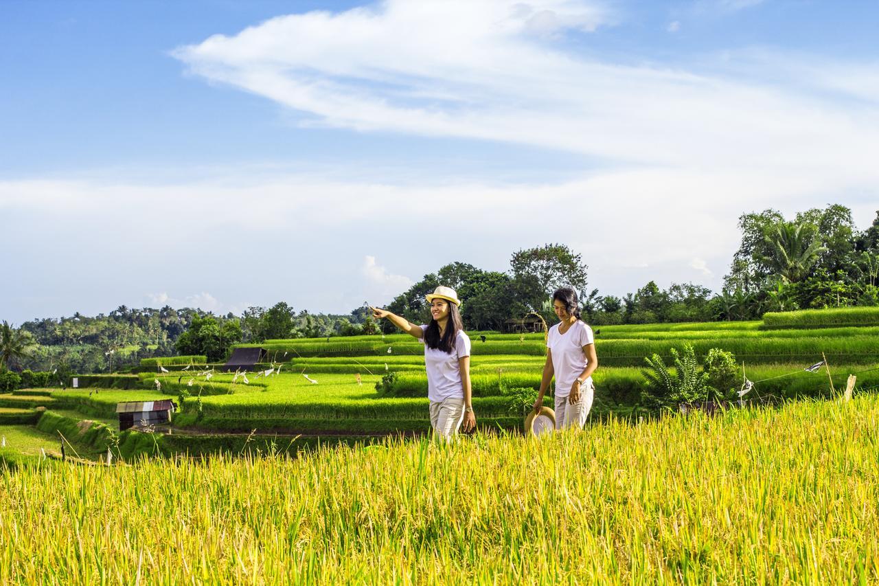 Kebun Kita Eco Lodge Padangan  Dış mekan fotoğraf